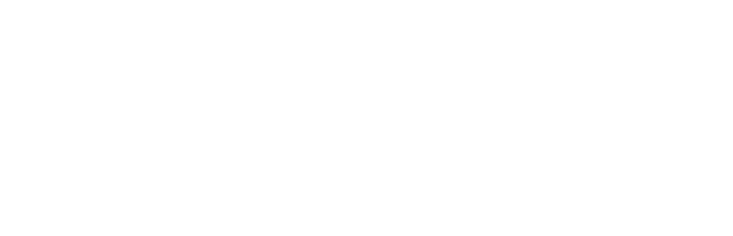 PepOS logo